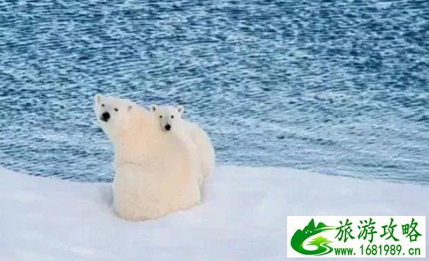 贵州三穗未来15天气预报 九寨沟天气预报15天准确率