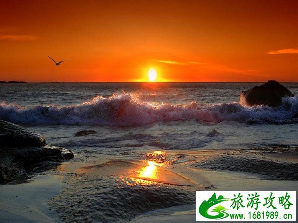 去成都旅游攻略及费用一天(去成都旅游攻略及费用一天多少钱) 去成都旅游攻略及费用一天(去成都旅游攻略及费用一天多少钱)