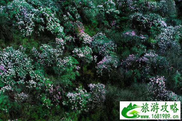 服务器数据恢复 服务器数据恢复费用