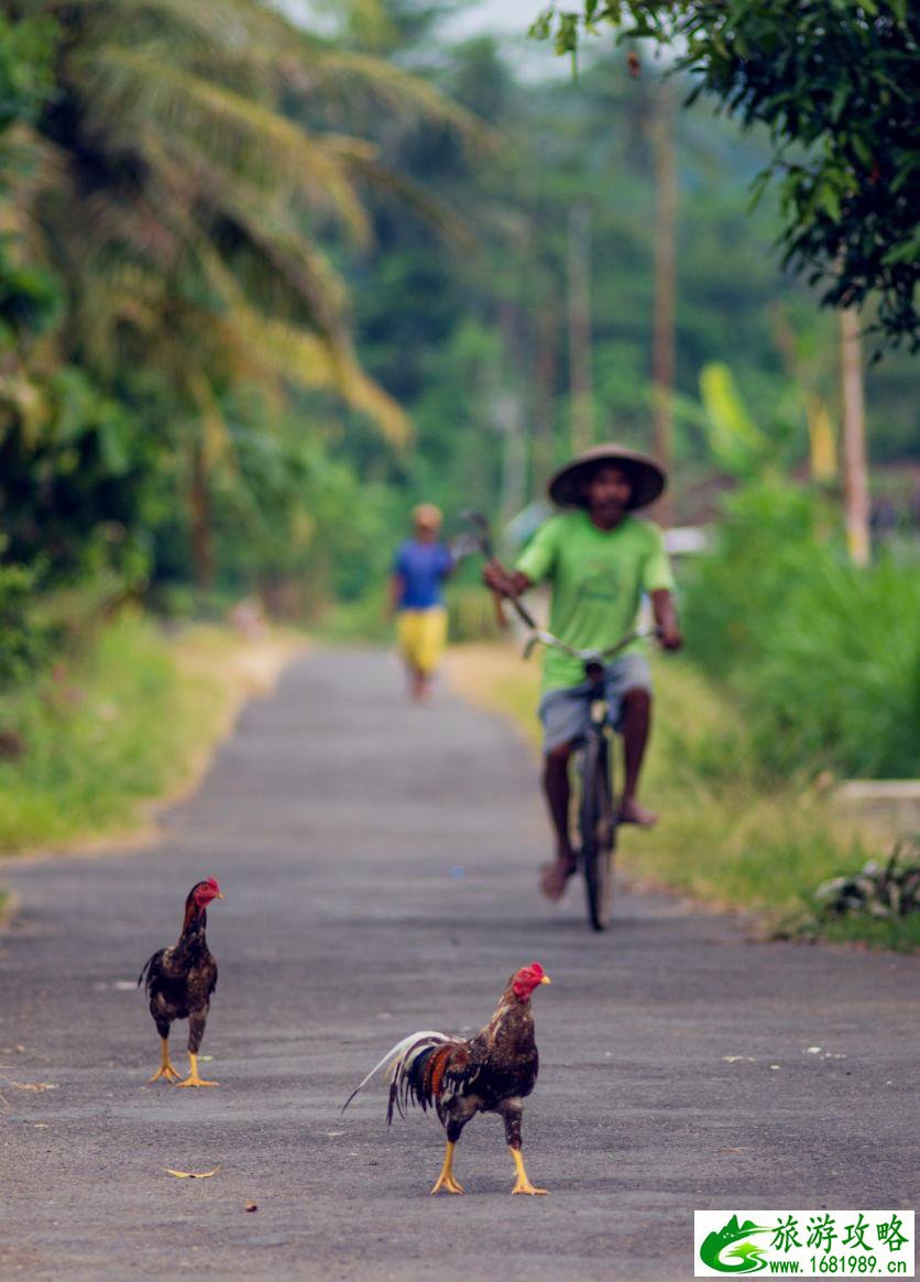 旅游推荐景点国内(旅游景点国内推荐)