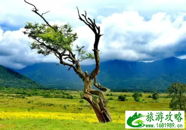 北京旅游攻略3日游自由行住宿价格多少钱(北京旅游攻略3日游自由行住宿价格多少钱一天) 北京旅游攻略3日游自由行住宿价格多少钱(北京旅游攻略3日游自由行住宿价格多少钱一天)