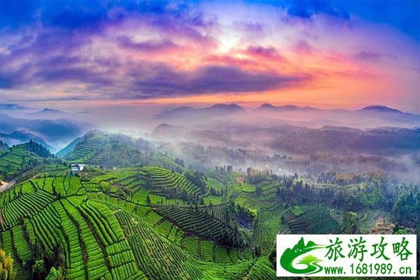 10月8日天津出发海南游5日,给点建议