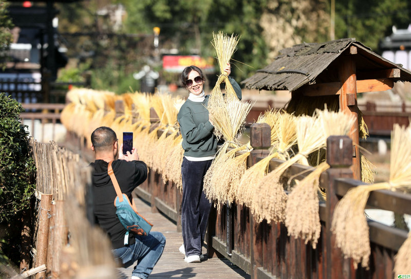 广州适合情侣的地方(广州适合情侣游玩的地方)