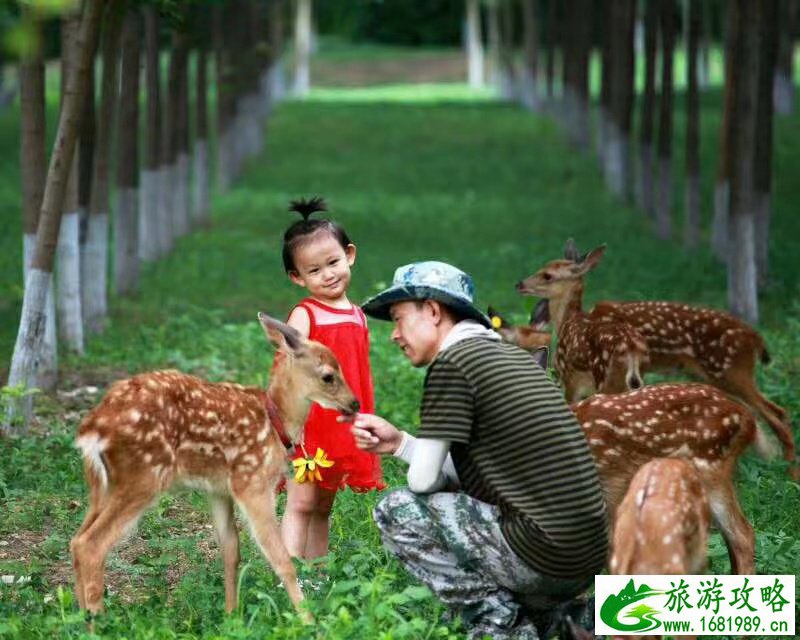 彭州龙门山_彭州龙门山风景区游玩攻略
