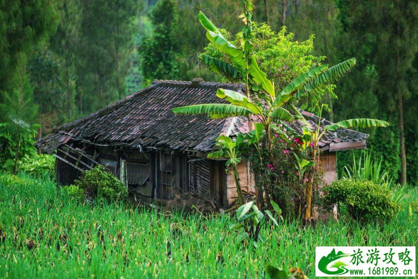 镇沅未来15天天气预报 普洱天气预报15天准确率