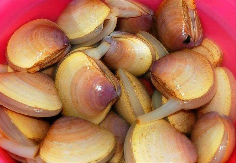 适合自由行的地方(北京适合自由行的地方)