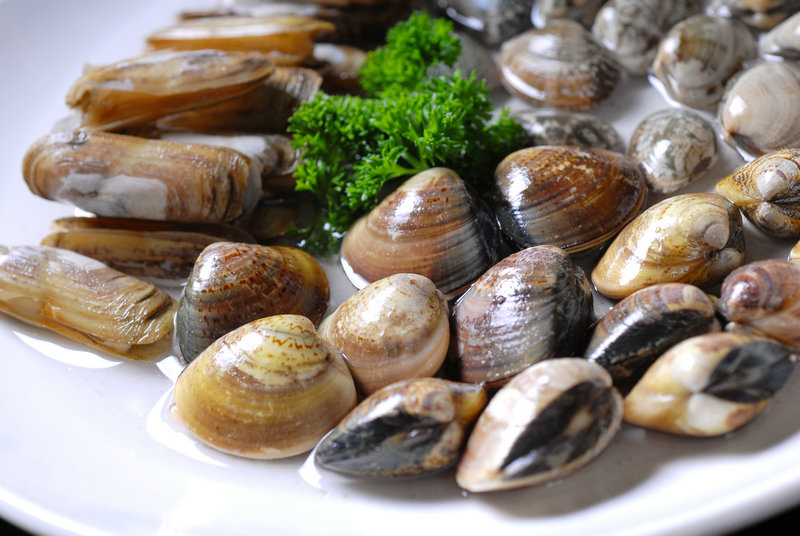 冬笋怎么炒好吃 冬笋怎么炒好吃炒春笋