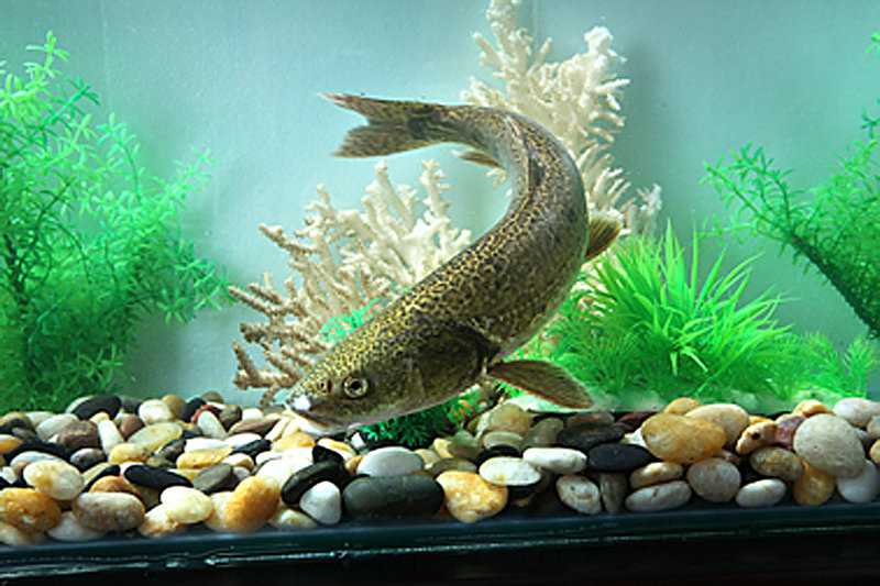 豆腐的15种家常做法